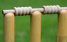 Image result for Cricket Stumps Bails