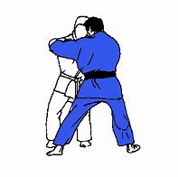 Image result for Animated Judo Throws