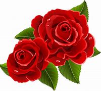 Image result for Red Flowers White Background Art