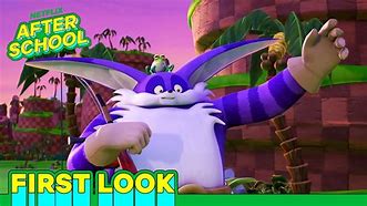 Image result for Sonic the Hedgehog Big