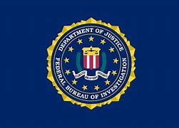 Image result for American FBI