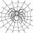 Image result for Drawn Spider Web