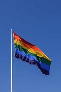 Image result for Rainbow Flag Big
