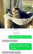 Image result for Cat Text Meme