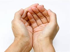 Image result for Hand Holding Position