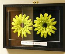 Image result for Anti-Reflective Glass for Framing