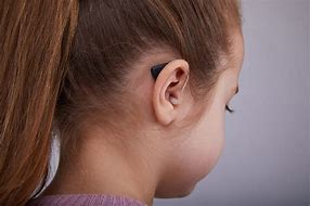 Image result for Human Hearing Aids