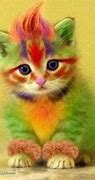 Image result for Rainbow Animals Cat