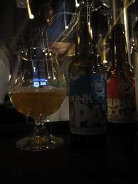 Image result for Punk IPA