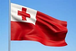 Image result for Red Tongan Flag