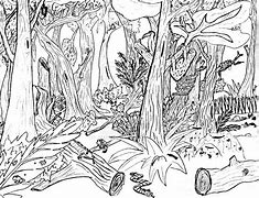 Image result for Nature Coloring Pages