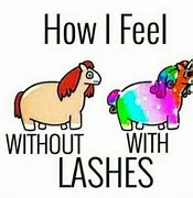 Image result for Lash Extension Memes