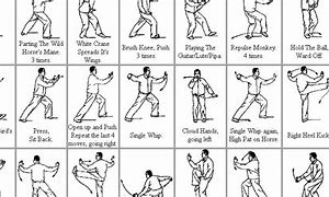 Image result for Tai Chi 24 Form Movements