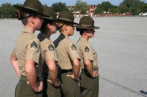 Image result for Marine Corps Drill Instructor Cartoon