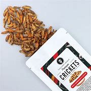 Image result for House Cricket Food
