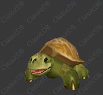 Image result for Turtle Pet WoW