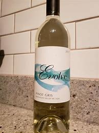 Image result for Evolve Pinot Gris
