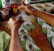 Image result for Eating Betel Nuts