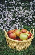 Image result for After Apple Picking Theme