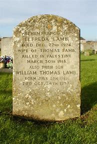 Image result for Thomas Lamb of Killarney