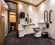 Image result for Disabled Toilet Interior Poster