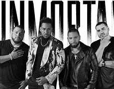 Image result for Aventura Band