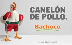 Image result for Memes Bachoco