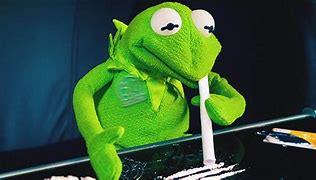 Image result for Kermit the Frog Cocaine