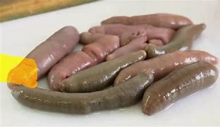 Image result for Gross Food From around the World