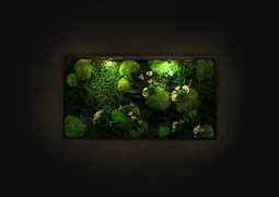Image result for Backlit Moss Art