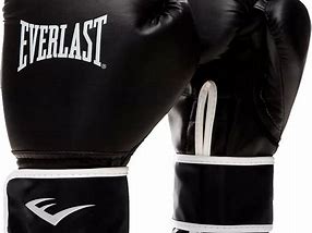 Image result for Everlast Boxing Equipment