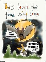 Image result for Eating Bats Meme