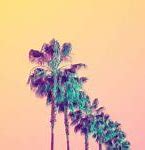Image result for Fun Wallpapers for iPhone