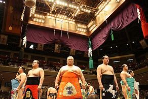 Image result for Sumo Wrestling Background