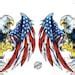 Image result for American Flag Attack Bald Eagle Wings