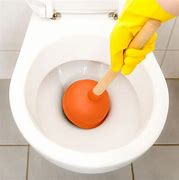 Image result for Unclogging Toilet