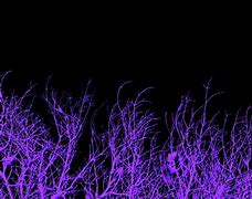 Image result for Aesthetic Dark Wallpapers for Desktop Purple
