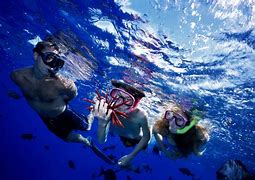 Image result for Best Snorkeling in Maui