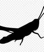 Image result for Cricket Bug Silhouette