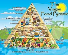 Image result for Children Vegan Food Pyramid