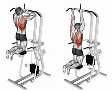 Image result for Home Gym Pull Up Bar Grips