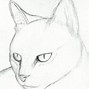 Image result for Small Cat Face Drawing