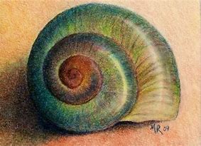 Image result for Michael Pedersen Snail Art