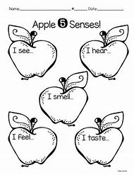 Image result for Apple's Senses Craft