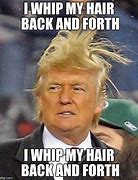 Image result for Hair Whip Meme