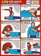 Image result for CPR Anatomy