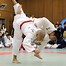 Image result for Judo Japan Bands