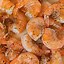 Image result for Desert Shrimp Food