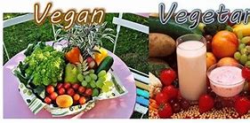 Image result for What's the Difference Between Vegetatian and Vegan