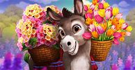 Image result for Donkey Flower